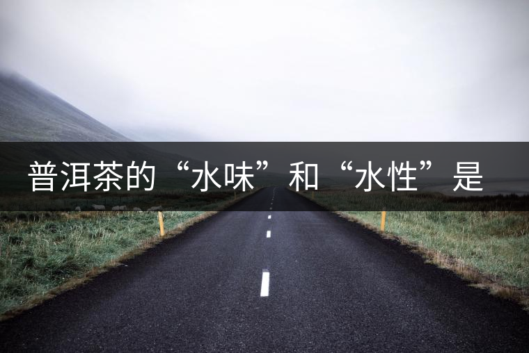 普洱茶的“水味”和“水性”是一種東西還是兩種東西？