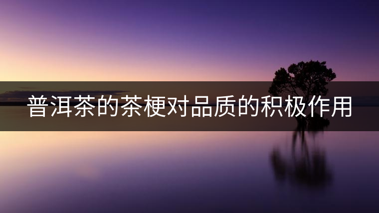 普洱茶的茶梗對(duì)品質(zhì)的積極作用