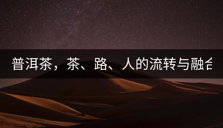 普洱茶，茶、路、人的流轉與融合！