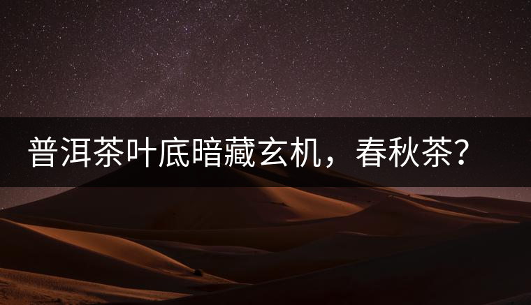普洱茶葉底暗藏玄機，春秋茶？大樹茶？野生茶？班章料？你讀懂了嗎？