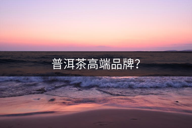 普洱茶高端品牌？