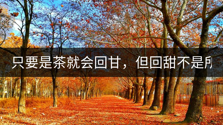 只要是茶就會(huì)回甘，但回甜不是所有茶都有！