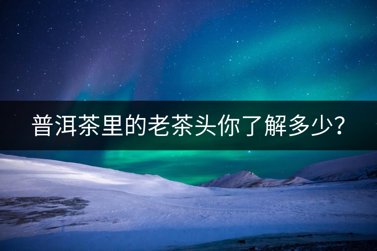 普洱茶里的老茶頭你了解多少？