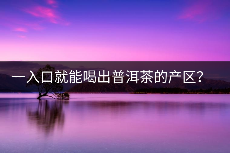 一入口就能喝出普洱茶的產(chǎn)區(qū)？怎么能不讀這篇文章呢？