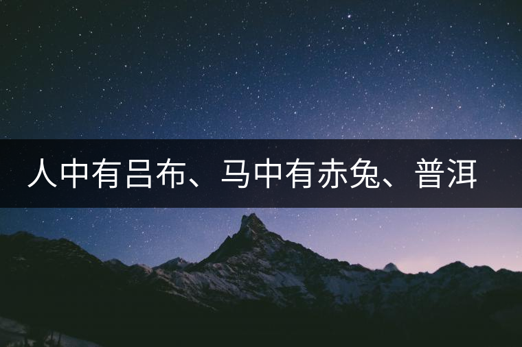 人中有呂布、馬中有赤兔、普洱中有茶化石：碎銀子！