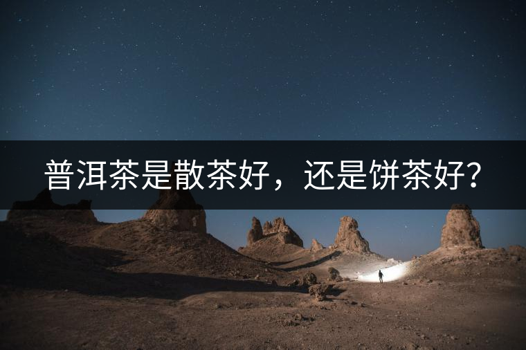 普洱茶是散茶好，還是餅茶好？