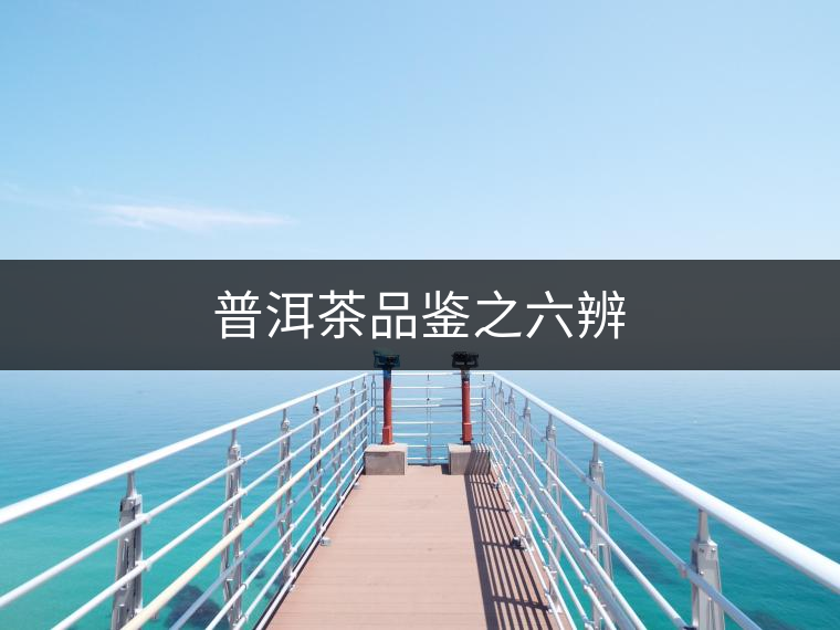 普洱茶品鑒之六辨 普洱茶品鑒之六辨