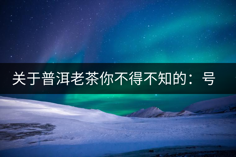 關(guān)于普洱老茶你不得不知的：號級茶、印級茶、七子餅茶