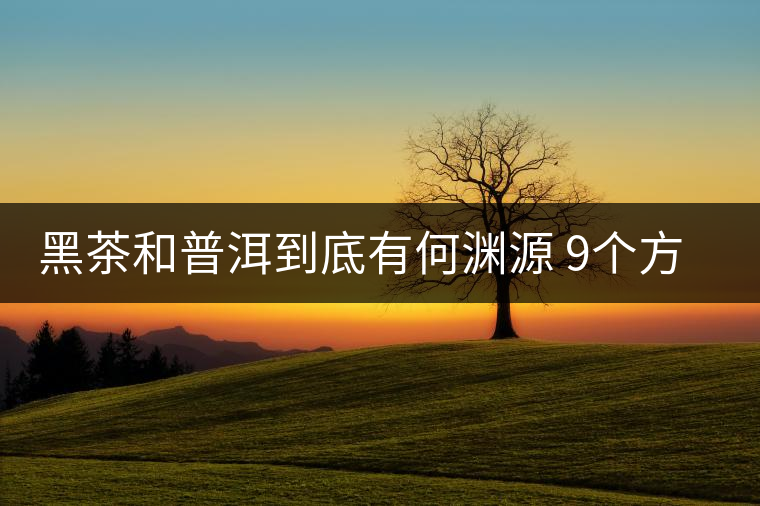 黑茶和普洱到底有何淵源 9個(gè)方面告訴你 黑茶和普洱到底有何淵源 9個(gè)方面告訴你