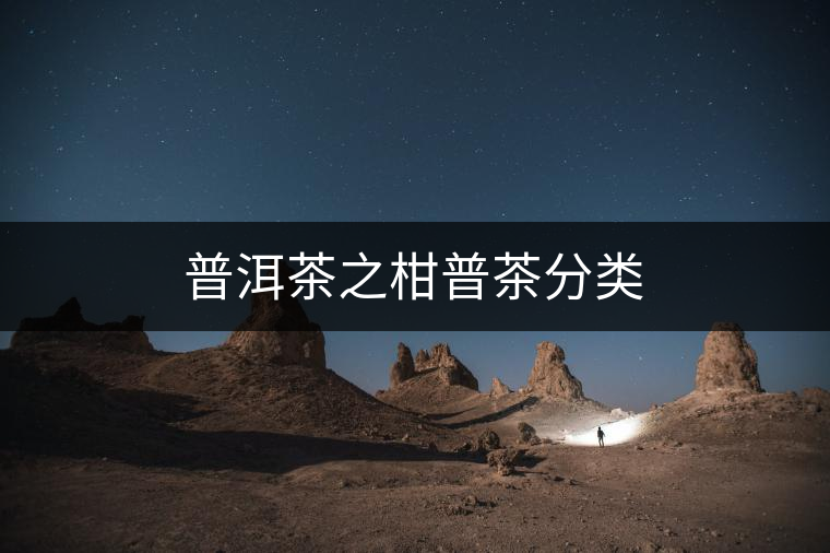 普洱茶之柑普茶分類(lèi)