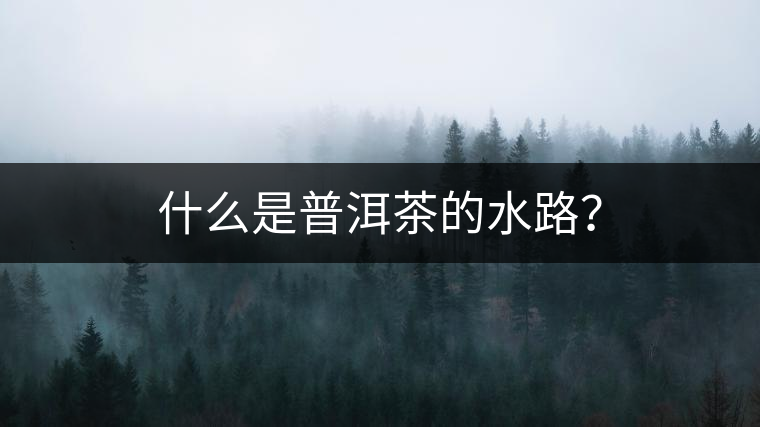 什么是普洱茶的水路？