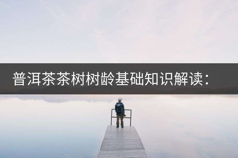 普洱茶茶樹樹齡基礎知識解讀：多大樹齡的茶才算古樹茶？