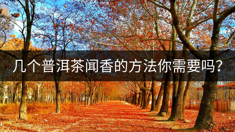 幾個普洱茶聞香的方法你需要嗎？