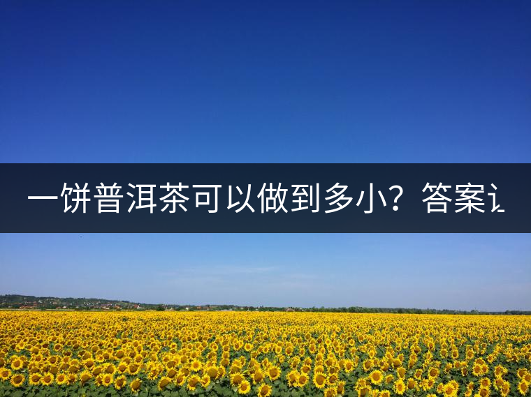 一餅普洱茶可以做到多??？答案讓人意想不到...