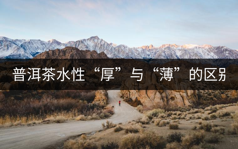 普洱茶水性“厚”與“薄”的區(qū)別！