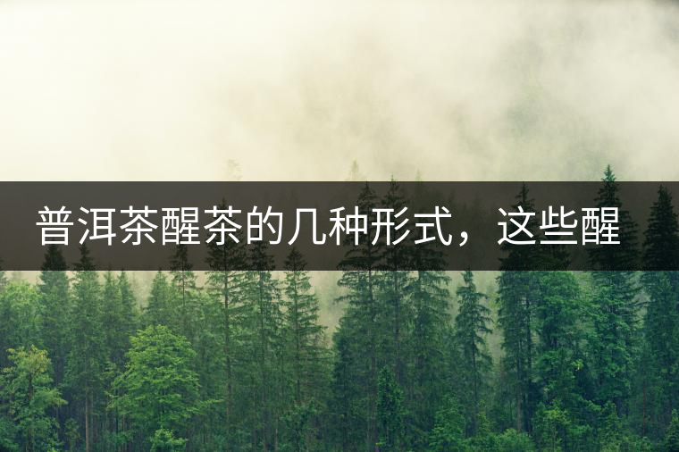 普洱茶醒茶的幾種形式，這些醒茶方法你都會了嗎？