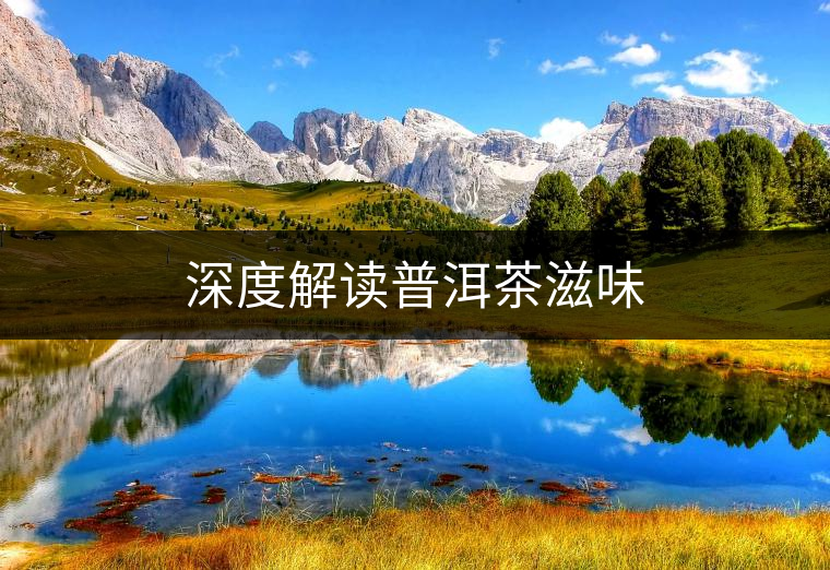 深度解讀普洱茶滋味