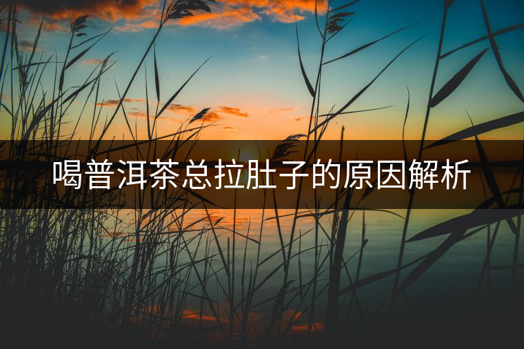 喝普洱茶總拉肚子的原因解析