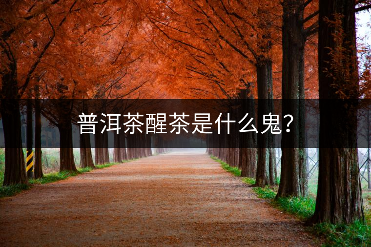 普洱茶醒茶是什么鬼？