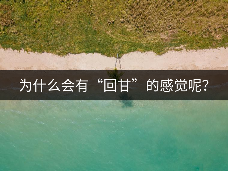 為什么會(huì)有“回甘”的感覺(jué)呢？