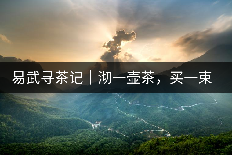 易武尋茶記｜沏一壺茶，買一束花，享半日余暇