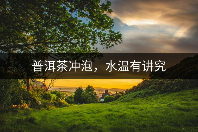 普洱茶沖泡，水溫有講究