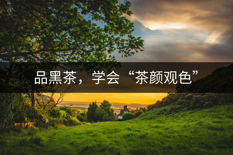 品黑茶，學(xué)會“茶顏觀色”
