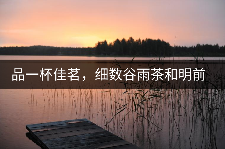 品一杯佳茗，細(xì)數(shù)谷雨茶和明前茶的區(qū)別