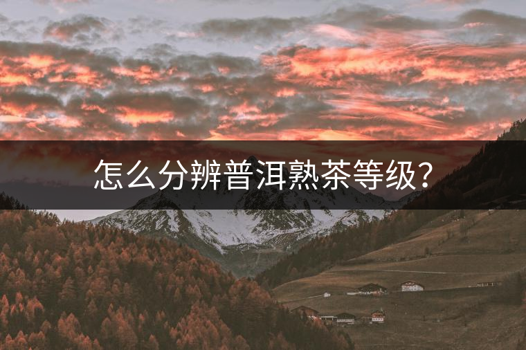 怎么分辨普洱熟茶等級？