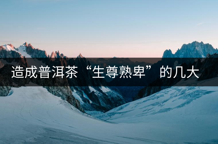 造成普洱茶“生尊熟卑”的幾大原因