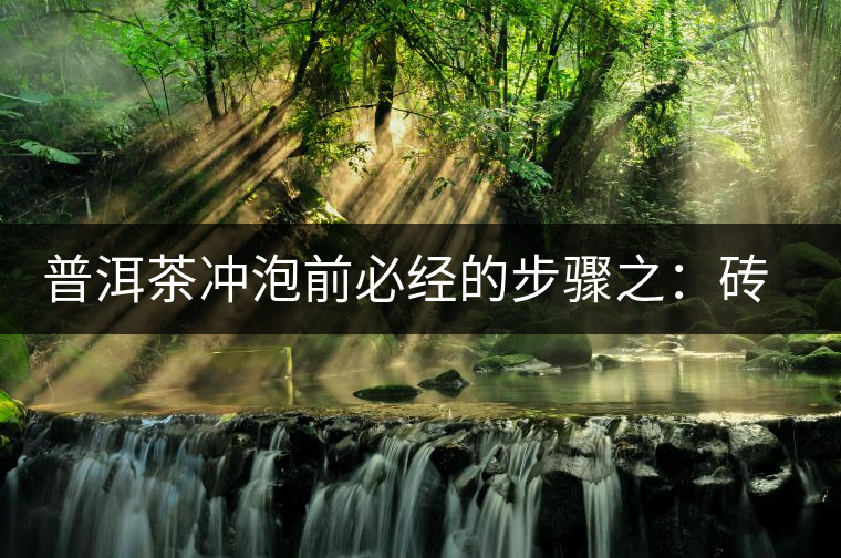 普洱茶沖泡前必經(jīng)的步驟之：磚茶如何撬？