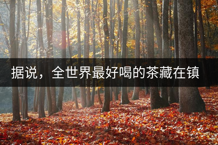 據(jù)說，全世界最好喝的茶藏在鎮(zhèn)沅