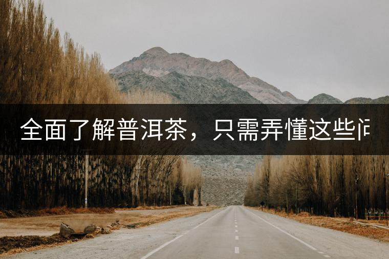 全面了解普洱茶，只需弄懂這些問題！