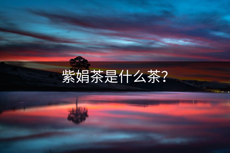 紫娟茶是什么茶？