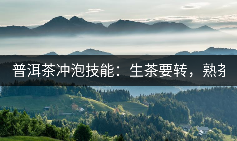 普洱茶沖泡技能：生茶要轉(zhuǎn)，熟茶要柔！