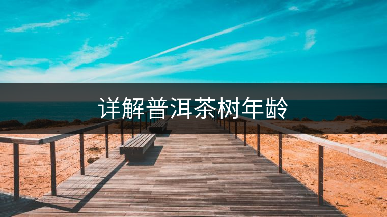 詳解普洱茶樹(shù)年齡 詳解普洱茶樹(shù)年齡