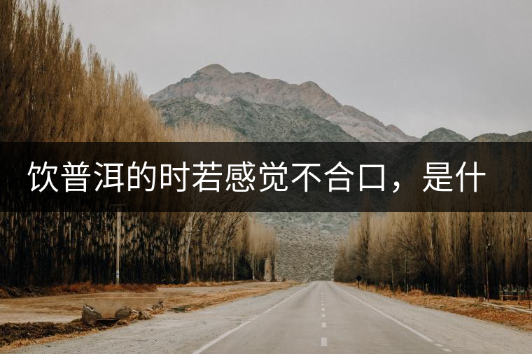 飲普洱的時若感覺不合口，是什么原呢？