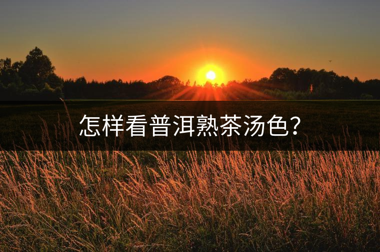 怎樣看普洱熟茶湯色？