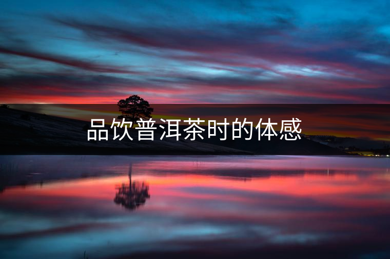 品飲普洱茶時的體感