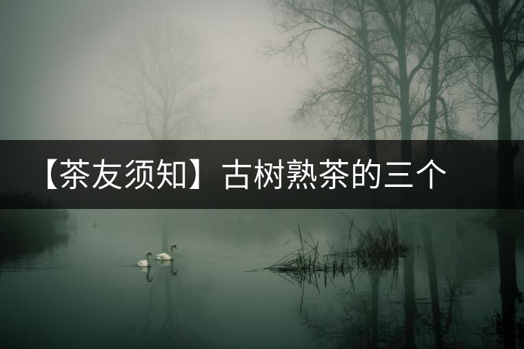 【茶友須知】古樹(shù)熟茶的三個(gè)誤區(qū)