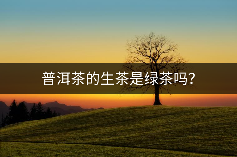 普洱茶的生茶是綠茶嗎？