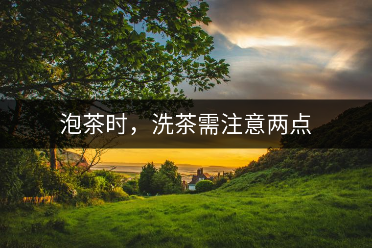 泡茶時(shí),洗茶需注意兩點(diǎn) 泡茶時(shí),洗茶需注意兩點(diǎn)
