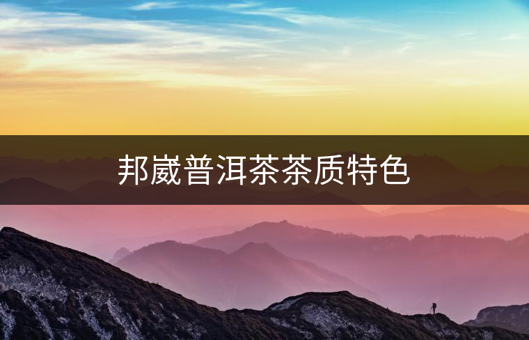 邦崴普洱茶茶質(zhì)特色 邦崴普洱茶茶質(zhì)特色