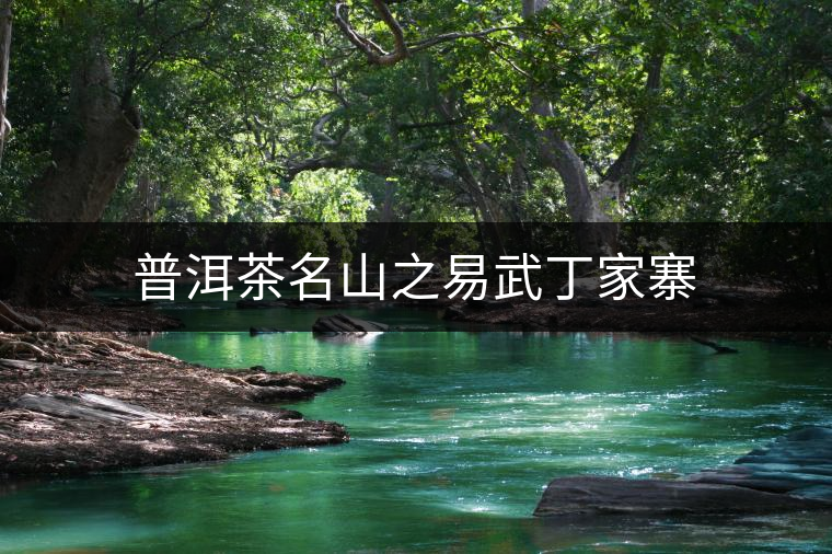普洱茶名山之易武丁家寨 普洱茶名山之易武丁家寨