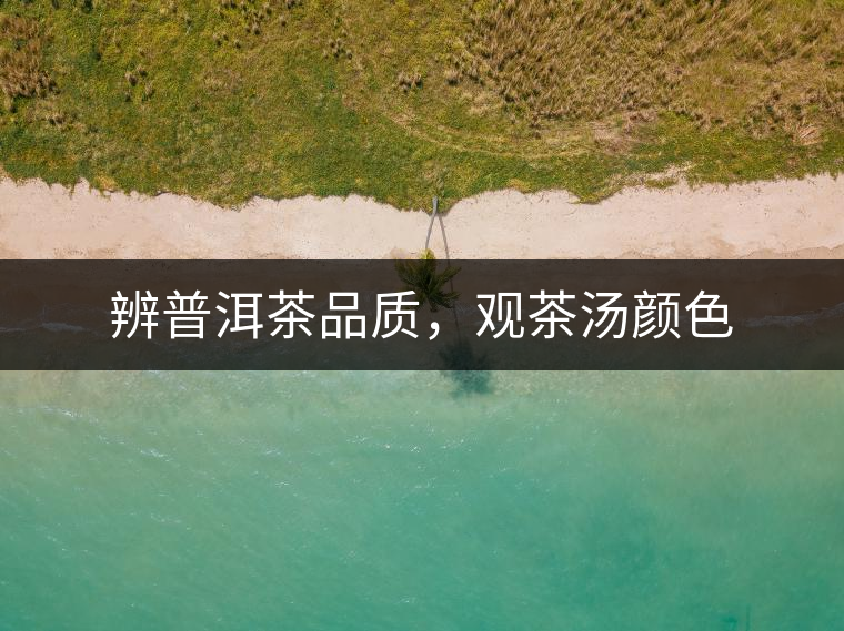 辨普洱茶品質(zhì)，觀茶湯顏色