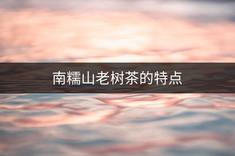南糯山老樹茶的特點