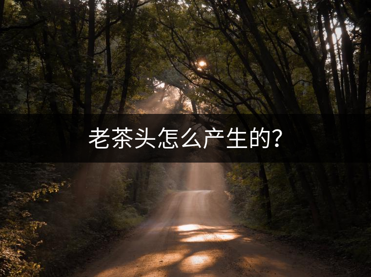 老茶頭怎么產(chǎn)生的？
