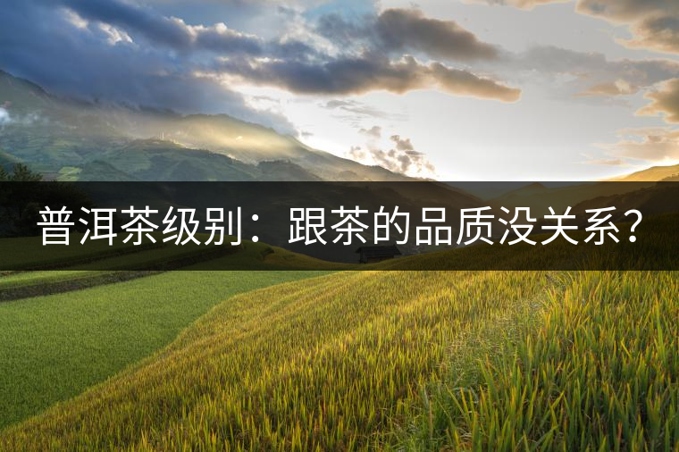 普洱茶級別：跟茶的品質(zhì)沒關(guān)系？