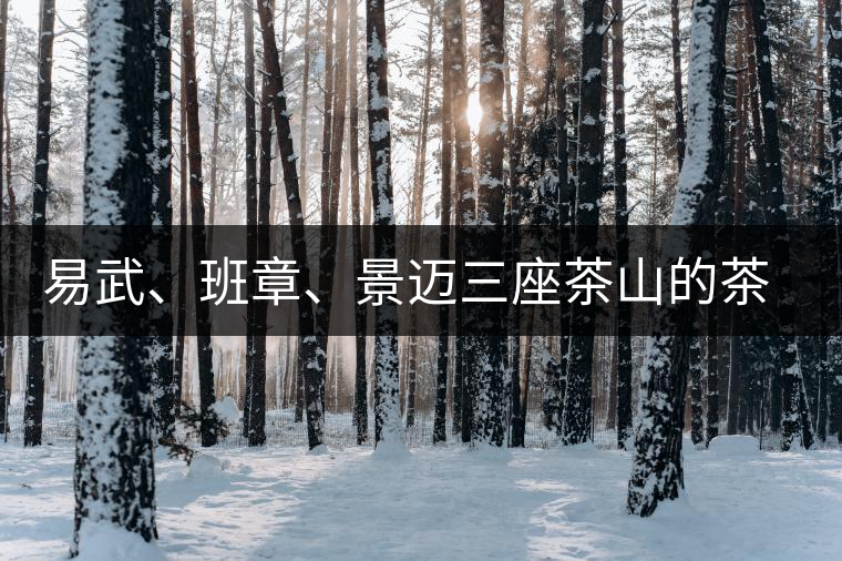 易武、班章、景邁三座茶山的茶比較 易武、班章、景邁三座茶山的茶比較