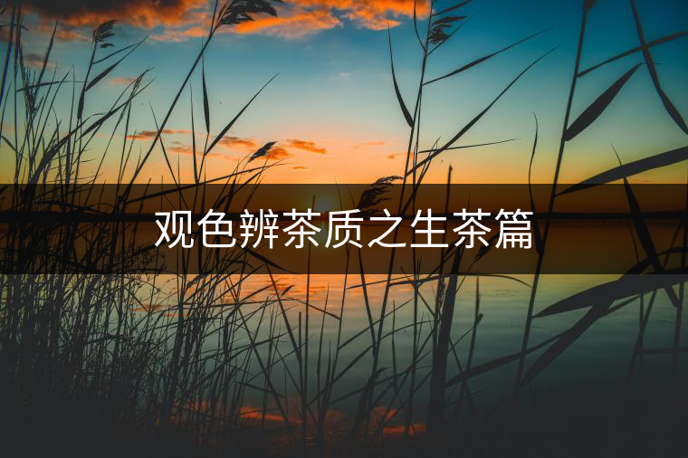 觀(guān)色辨茶質(zhì)之生茶篇